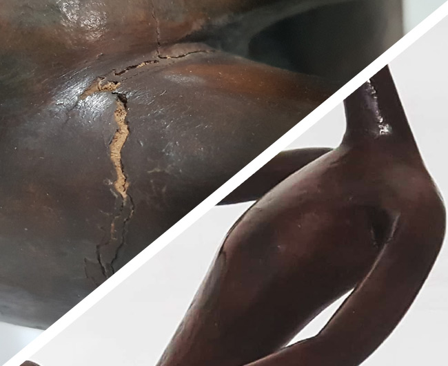 Fraturas e galerias de cupim.